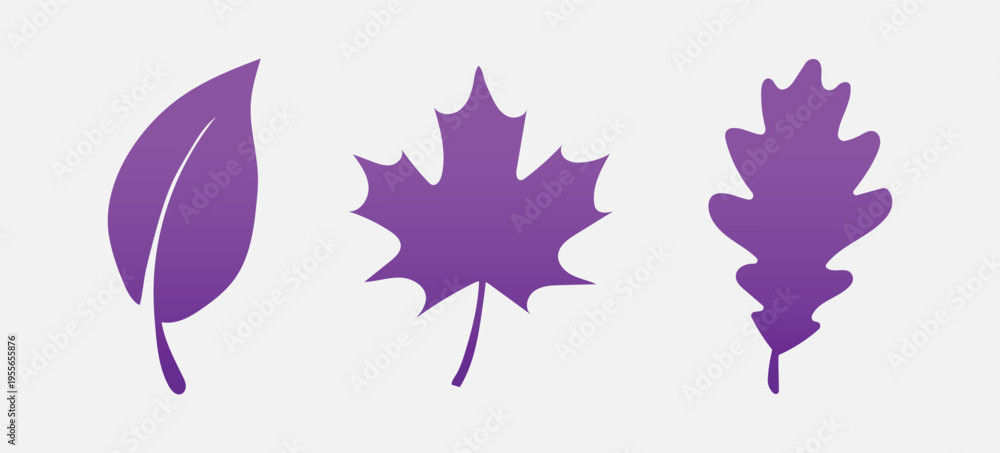 Obraz premium Purple leaves on white background