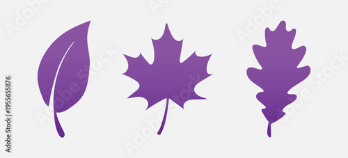 Purple leaves on white background