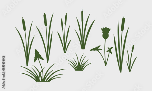 Variety of cattails and aquatic plants in a freshwater ecosystem