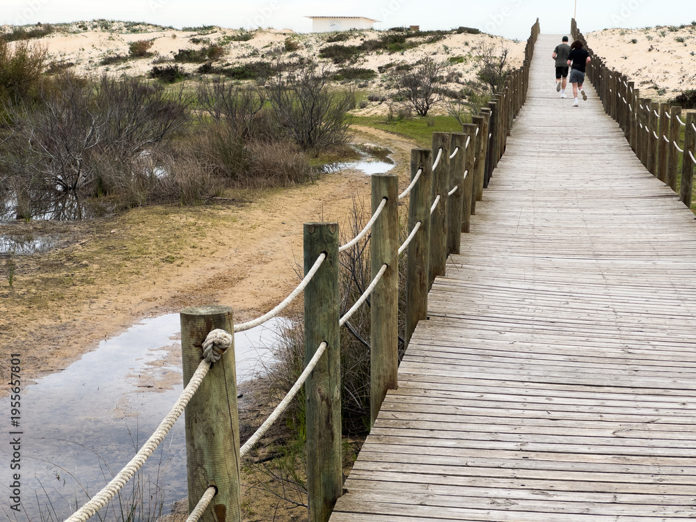 Fototapeta premium Sturdy wooden stairs rise from the sandy beach, surrounded by tall grasses, leading to the top of the dune under a cloudy afternoon sky. The scene is calm and inviting.