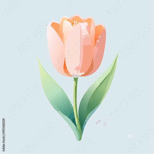 Pfirsichfarbene Tulpe