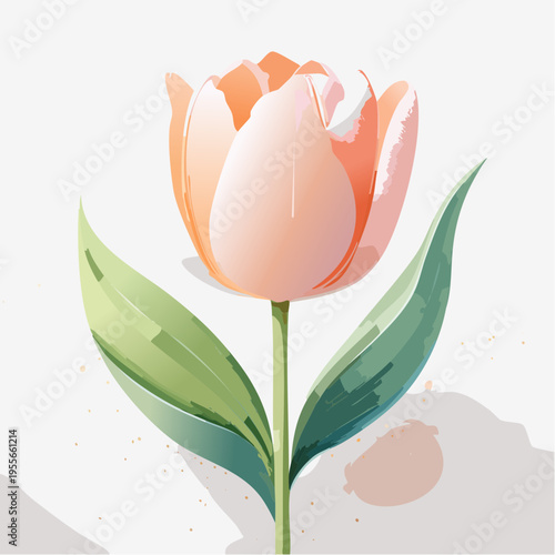 Pfirsichfarbene Tulpe