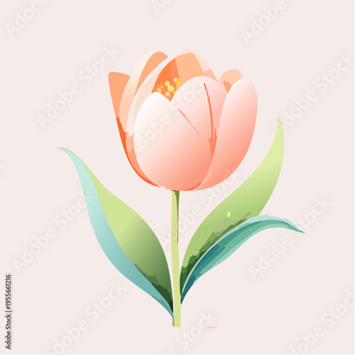 Pfirsichfarbene Tulpe