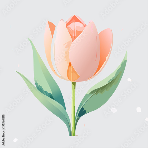 Pfirsichfarbene Tulpe