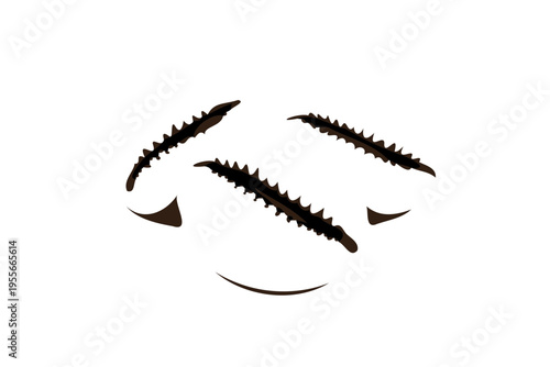 3D illustration of a beautiful woman's eye with black mascara isolated on white featuring a symbolic black metal spiral and human bone spine