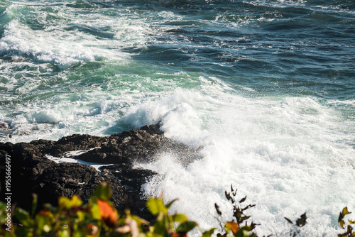 Fels in der Brandung von Vancouver Island