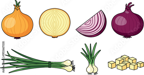 Collection of onion varieties vector illustration including whole sliced red onion green onions and cubes isolated on white background