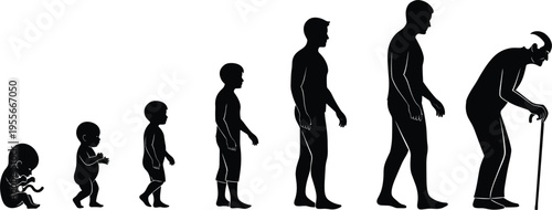 Human aging process silhouettes baby child growth adult senior stages life cycle evolution people black shadow vector illustration
