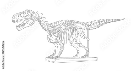 Dinosaur Skeleton Outline: Tyrannosaurus Rex Fossil Illustration