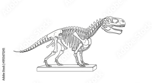 Dinosaur Skeleton Illustration - Tyrannosaurus Rex Fossil Anatomy
