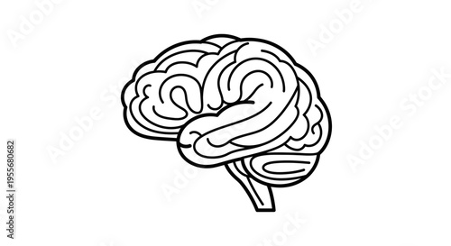 Detailed Line Art Drawing of a Human Brain, Isolated White Background