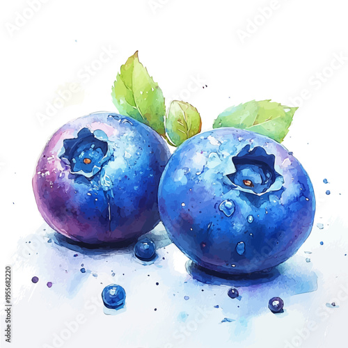 watercolor of Blueberry draw illustration, isolated on a white background.
