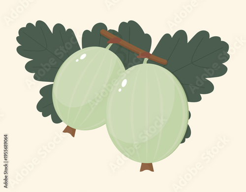 Green gooseberry isolated on a white background. Berries and leaves in flat style. Vector illustration, colored icon, design element.