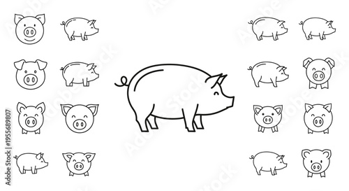Pig with multiple small pig faces.