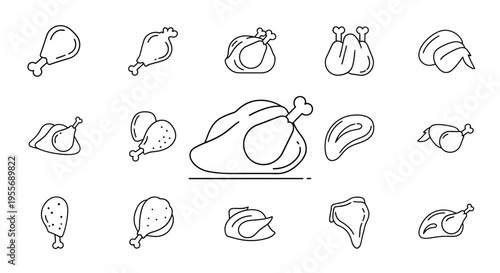 Various Chicken Meat Cut Illustrations.