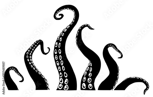A group of octopus tentacles with suckers