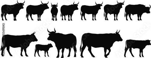 Black cattle silhouettes collection featuring bull, cow, calf, and ox icons isolated on white background for farm, ranch, agriculture, and livestock nature design projects.