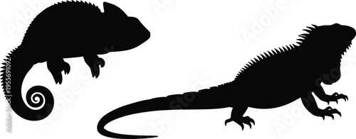 Black chameleon and iguana silhouettes set featuring exotic lizard vector icons isolated on white background for tropical wildlife and reptile nature design projects.