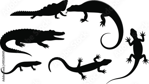 Black reptile silhouette set featuring crocodile alligator lizard gecko and monitor lizard icons isolated on white background for wildlife nature and exotic animal design projects.