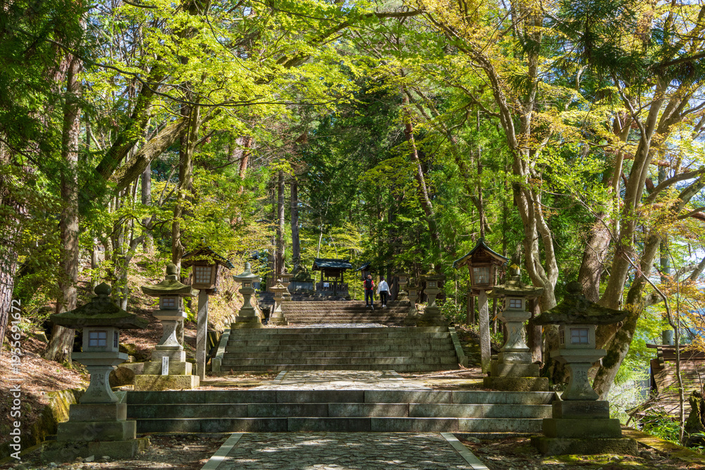 Obraz premium 高山市・日枝神社の参道と石段（岐阜県）