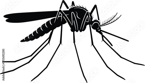 Detailed black mosquito vector silhouette icon for pest control branding, malaria awareness, virus prevention, insect repellent packaging, and scientific parasite research isolated on white.