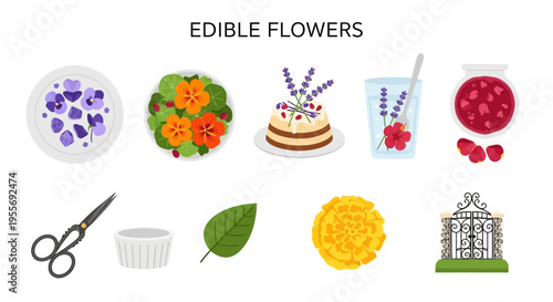 Edible flowers for food decoration.