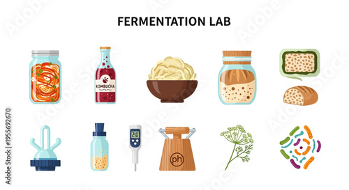 Fermentation lab equipment and ingredients.