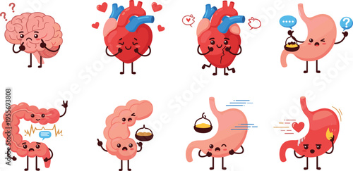 Cute human organs characters collection with brain heart stomach and intestine health cartoon vector illustration set