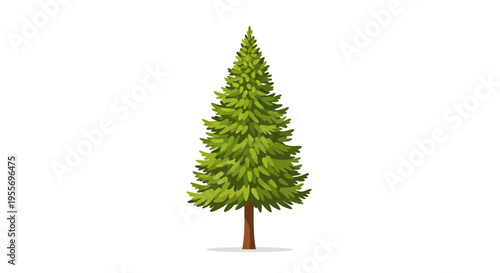 Illustration of a stylized evergreen pine tree