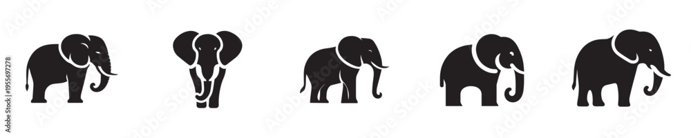 Fototapeta premium elephant vector with silhouette style