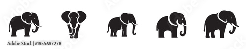 elephant vector with silhouette style