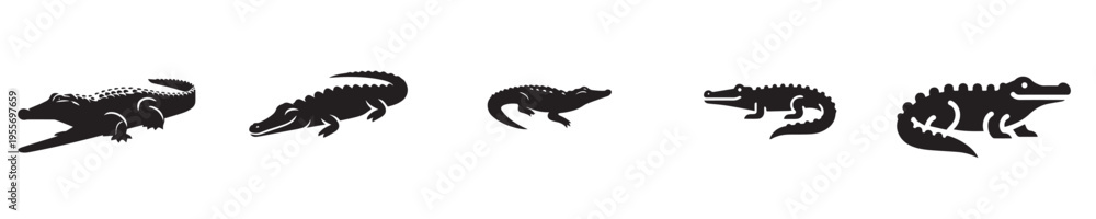 Fototapeta premium crocodile vector with silhouette style