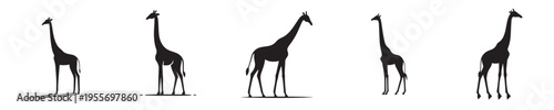 giraffe vector with silhouette style