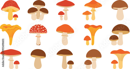 Mushroom Illustration Set with Various Forest Fungi in Flat Style for Nature, Autumn, Botanical, and Organic Food Design Projects