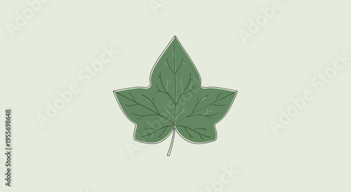 Green leaf with pointed lobes.