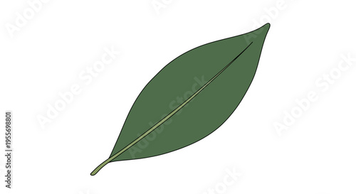 Quadro su tela Single green leaf on white background.