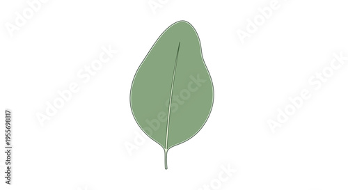Green leaf with stem isolated.