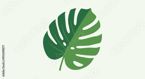 Large green tropical leaf closeup.