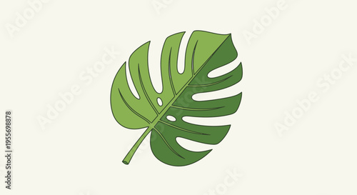 Large green tropical leaf closeup.