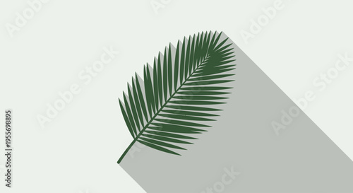Palm leaf with green fronds isolated.