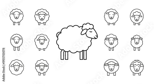 Sheep standing with flock icons around.