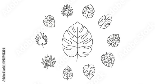 Collection of various leaf illustrations.