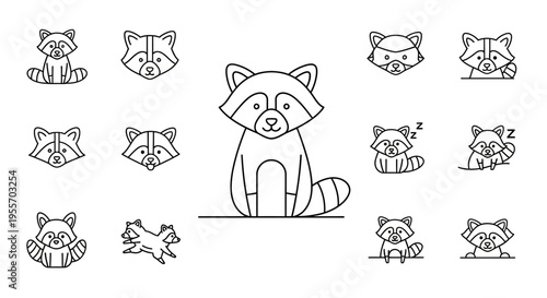 Raccoon faces and animal cartoon.