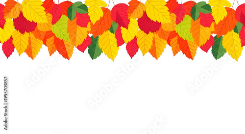 Colorful autumn leaves border frame transparent background