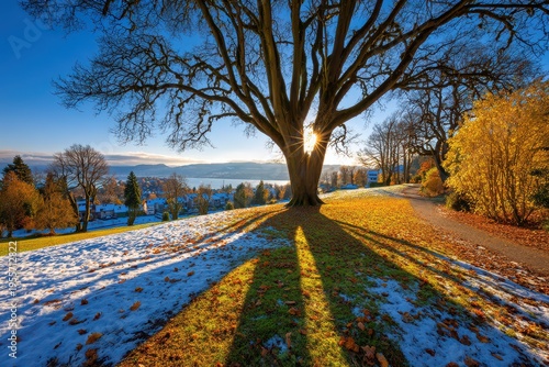 A scenic landscape featuring a large tree with sunlight shining through its branches, snow on the grass, and a village in the background in early winter.