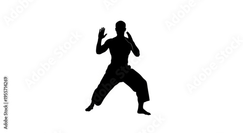 Dynamic Martial Arts Stance Silhouette