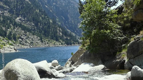 Nature Symphony River Flowing into Reservoir Amidst Pineclad Cliffs