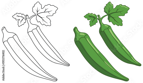 Okra vegetable pods isolated clean line art coloring page illustration design