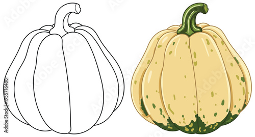 Pattypan squash fresh yellow vegetable isolated illustration for organic food design