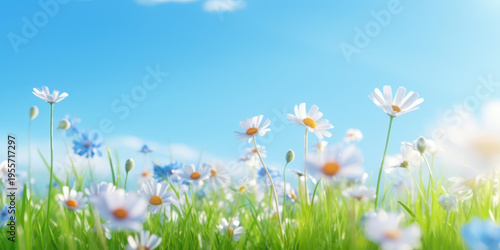 Spring flowers in the meadow. Small fresh and beautiful spring background